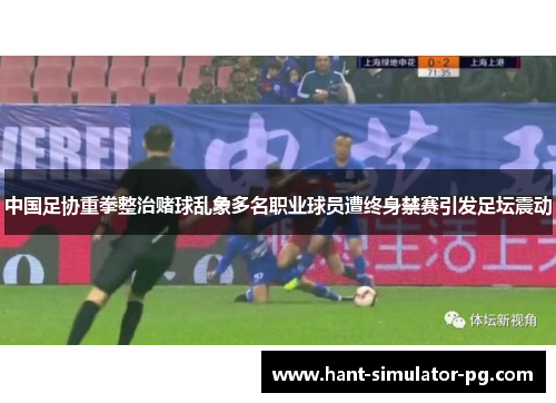 中国足协重拳整治赌球乱象多名职业球员遭终身禁赛引发足坛震动